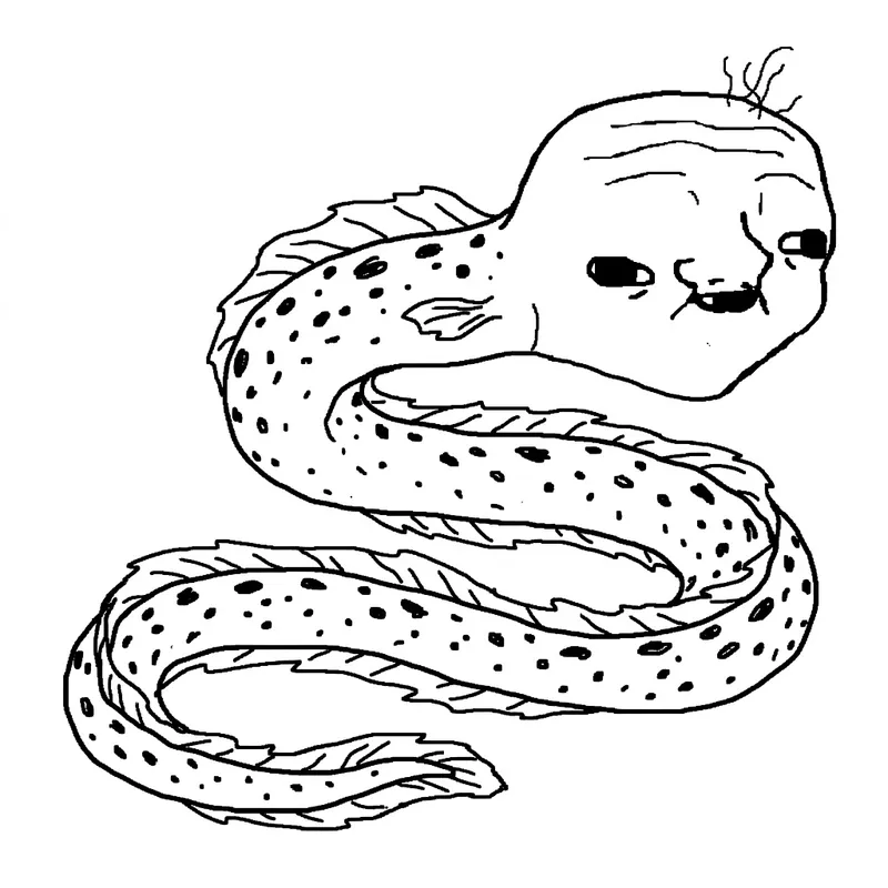 Colores, a sleepy spotted eel relative
