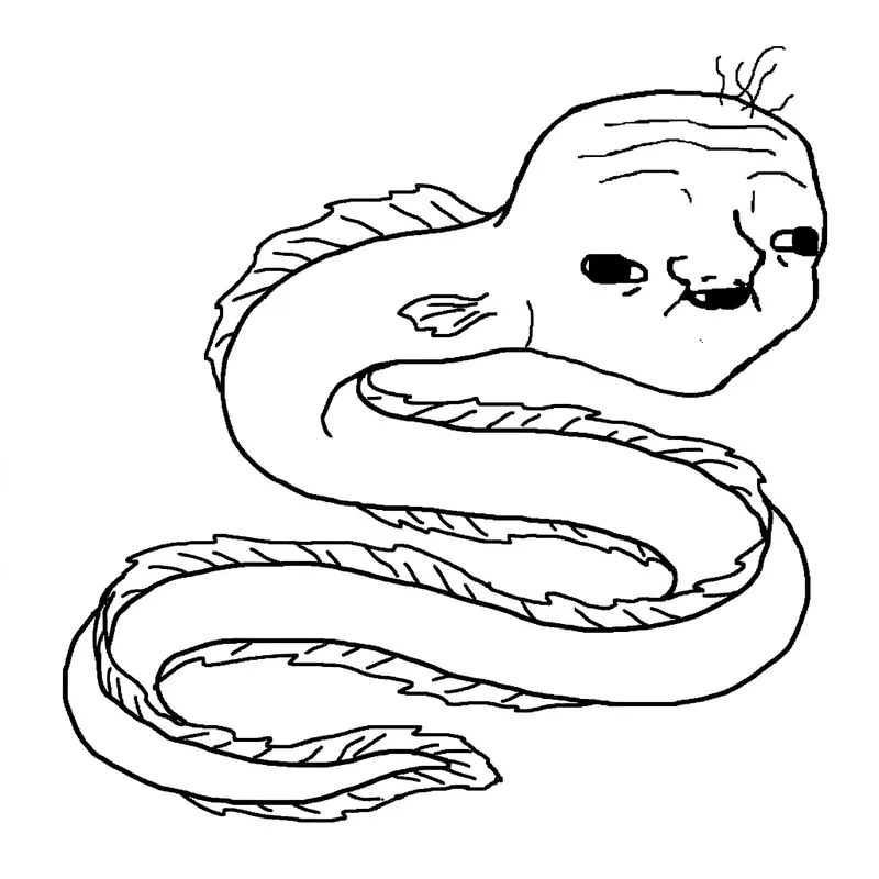 Dolores, a sleepy smooth eel relative
